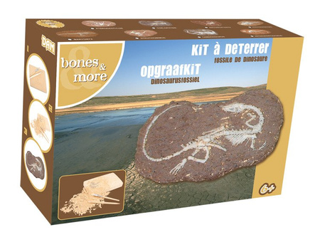 Duży Szkielet Dinozaura Wykopalisko Na Kamieniu Bones More