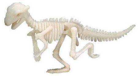 Bones&More, Duży szkielet dinozaura - wykopalisko odcisk łapy