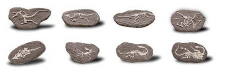 Duży Szkielet Dinozaura Wykopalisko Na Kamieniu Bones More