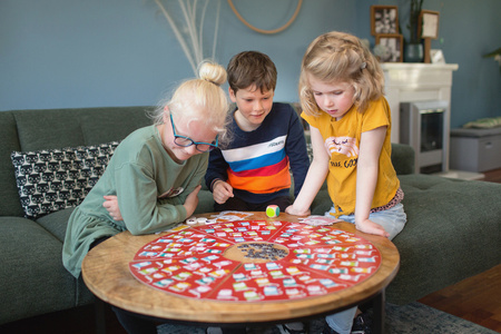 Gra logiczna i obserwacyjna dla dzieci - BS Toys Kot w Kapeluszu