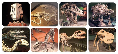 Projektor Latarka z Pojemnikiem Na Tarcze Dino XL