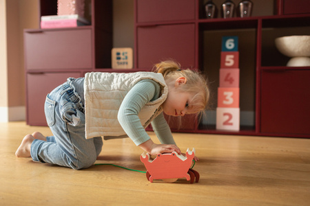 BS Toys, Drewniany krab do ciągnięcia