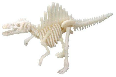 Bones&More, Duży szkielet dinozaura - wykopalisko odcisk łapy