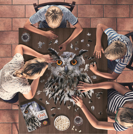 MADD CAPP, Puzzle konturowe I AM - Sowa 300 elem.