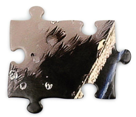 MADD CAPP, Puzzle konturowe I AM LIL' - Pingwin 100 elem.