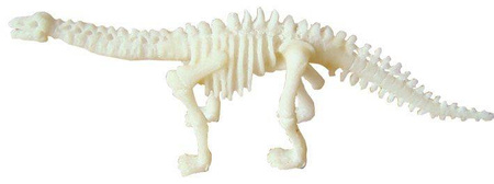 Bones&More, Duży szkielet dinozaura - wykopalisko odcisk łapy