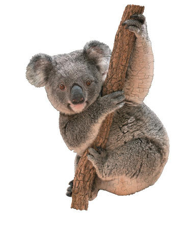 Puzzle konturowe dla dzieci - Madd Capp I Am Lil Koala 100 el