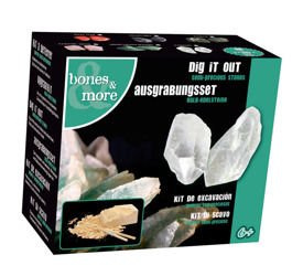 Bones&more, Kamień wykopaliska