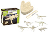 Bones&More, Duży szkielet dinozaura - wykopalisko odcisk łapy