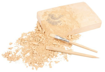 Duży Szkielet Dinozaura Wykopalisko Na Kamieniu Bones More