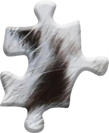 MADD CAPP, Puzzle konturowe I AM - Biały Tygrys 300 elem.