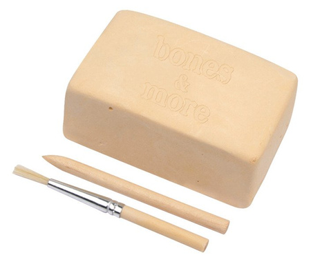 Bones&more, Kamień wykopaliska