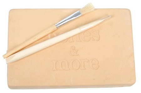 Duży Szkielet Dinozaura Wykopalisko Na Kamieniu Bones More