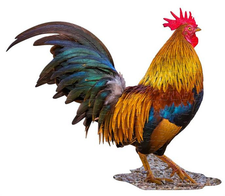 MADD CAPP, Puzzle konturowe I AM Kogut - 100 elem.