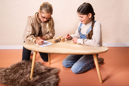 BS Toys, drewniana gra na spostrzegawczość Gra w kości