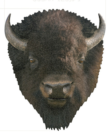 MADD CAPP, Puzzle konturowe I AM - Bizon 550 elem.