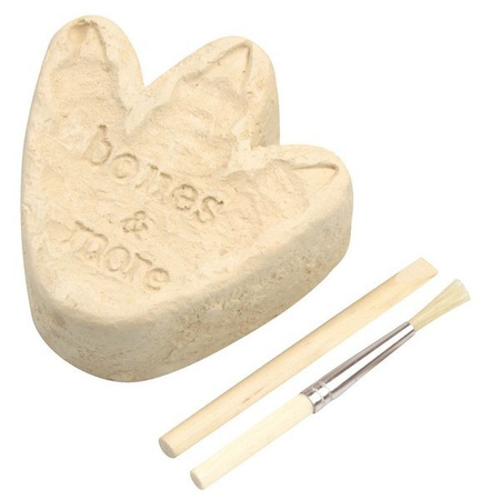 Bones&More, Duży szkielet dinozaura - wykopalisko odcisk łapy