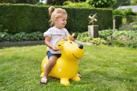 BS Toys, Skoczek Renifer