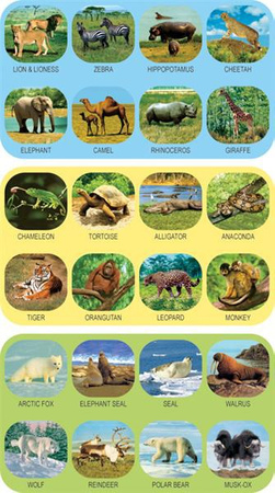 Projektor dla dzieci - latarka dziecięca dzikie zwierzęta