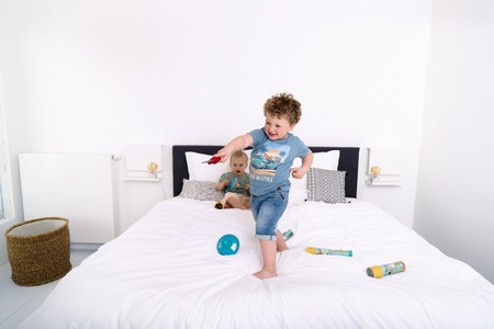 Scratch, Projektor Dżungla